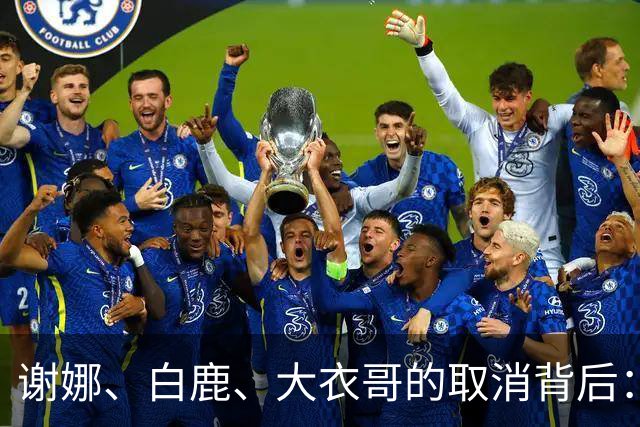 谢娜、白鹿、大衣哥的取消背后：娱乐圈的三大禁忌